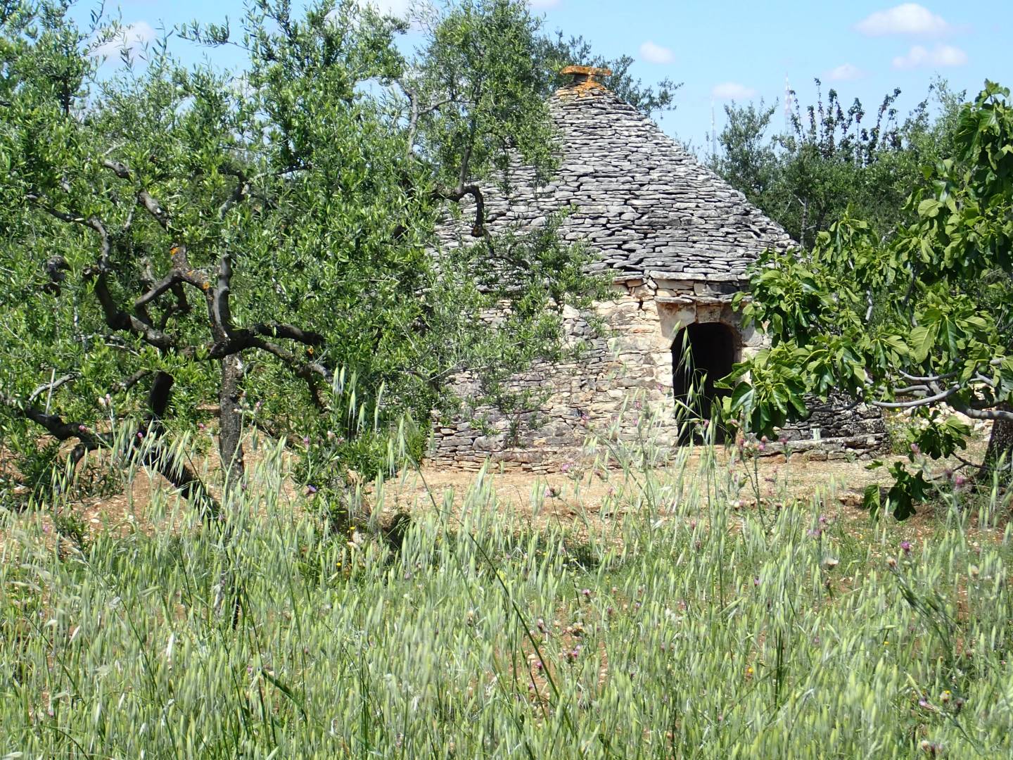 13_un_trullo_SP_238_234_vers_Corato__.jpg