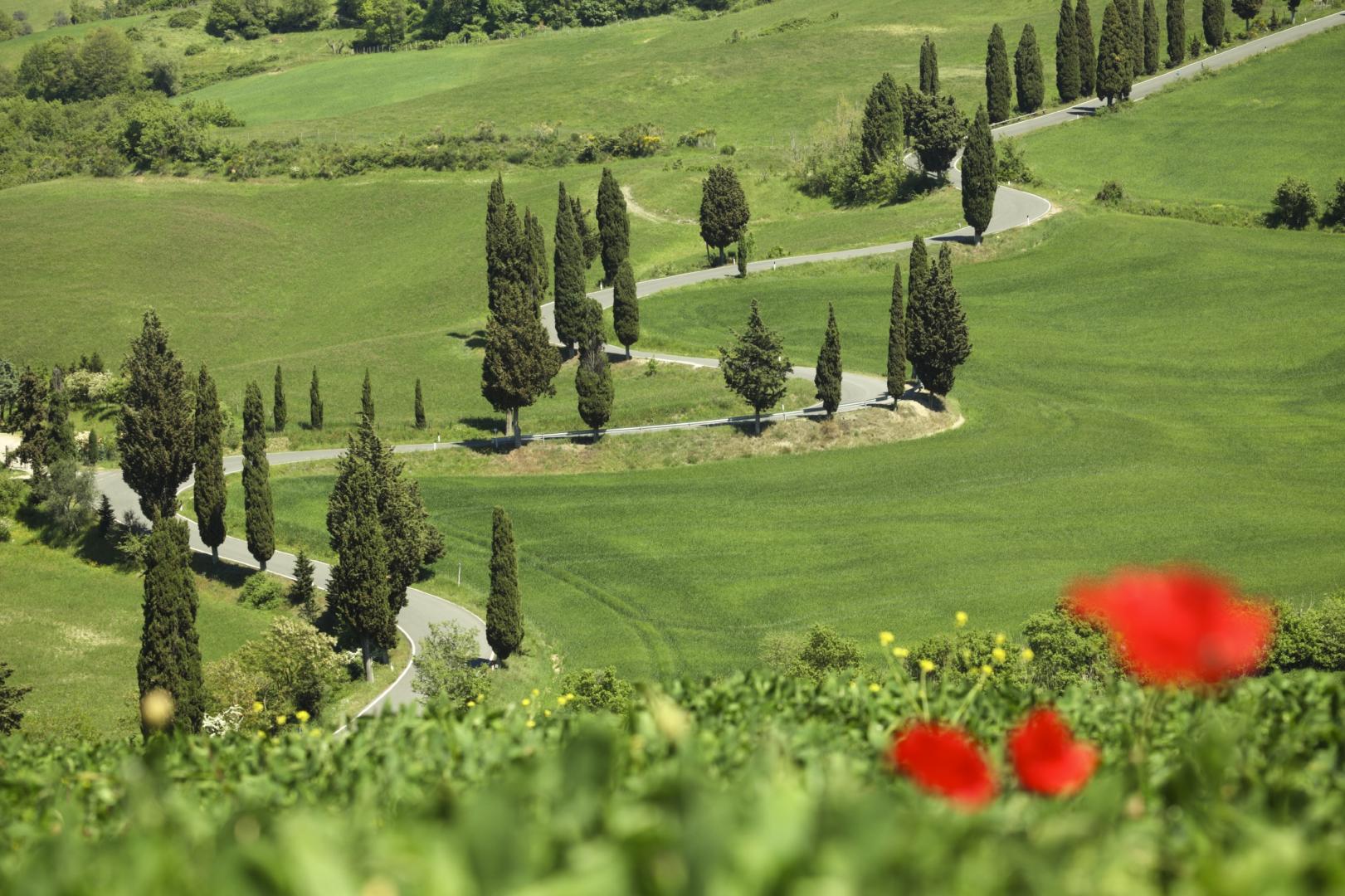 Route_Toscane.jpg