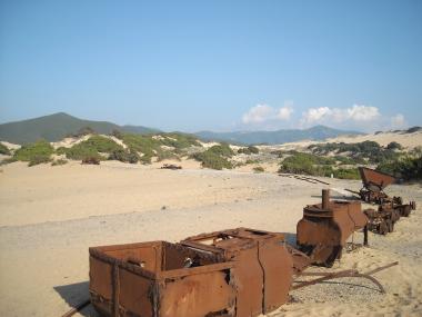 DSCN5130.jpg