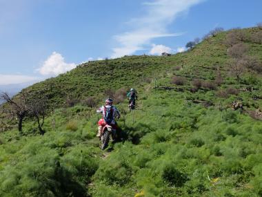 DSCF1649.jpg