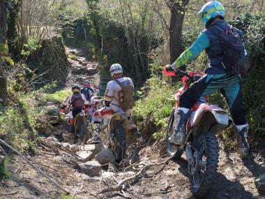 DSCF1731.jpg
