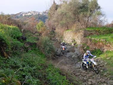 DSCF4435.jpg