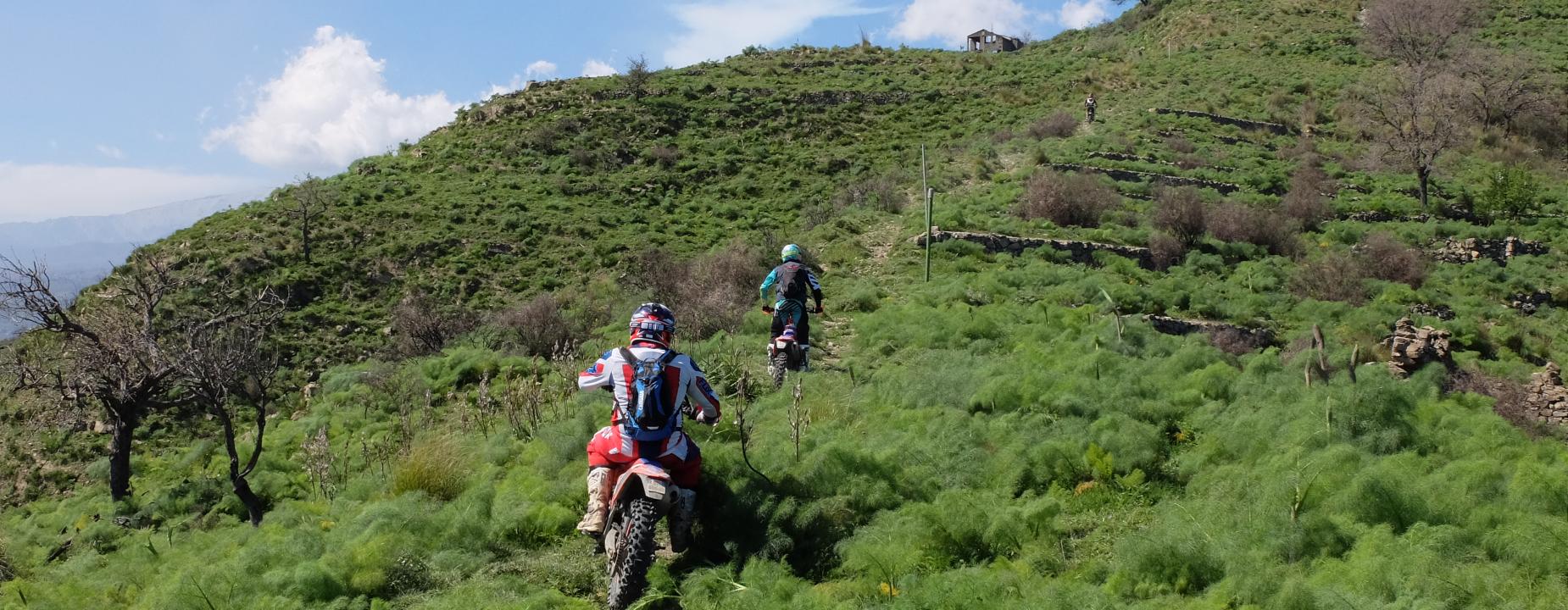 DSCF1649.jpg