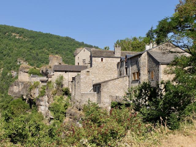 DSCF1419.jpg