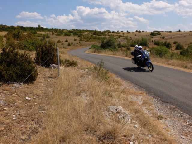 DSCF1442.jpg