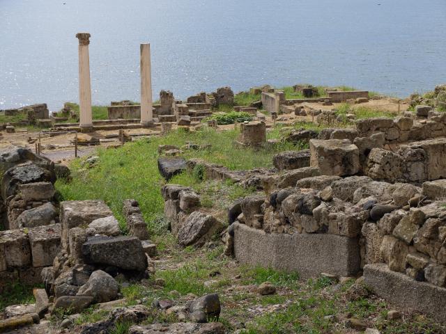 DSCF5158.jpg