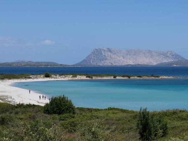 DSCF7120.jpg